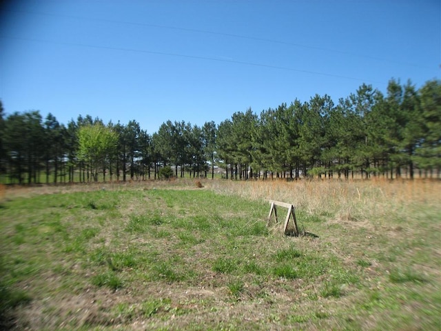 view of yard with a rural view