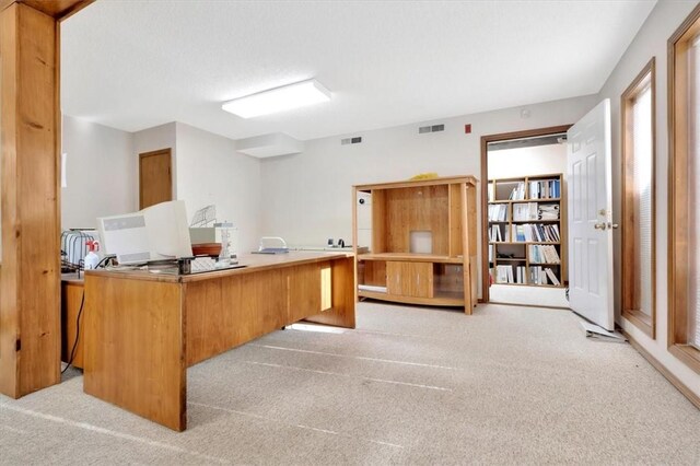 office area with light colored carpet