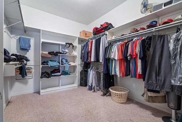 spacious closet featuring carpet flooring