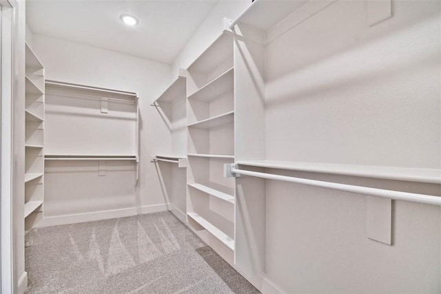 walk in closet with carpet flooring