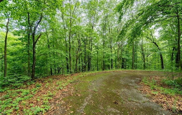 Listing photo 2 for LOT13 Ettrick Ln, Bella Vista AR 72715