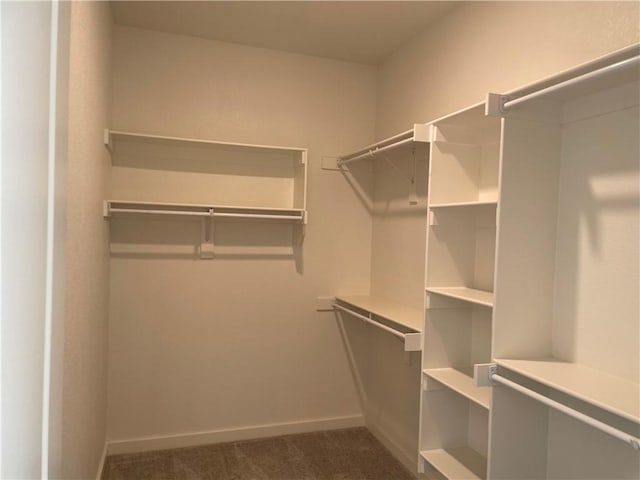 spacious closet featuring dark colored carpet