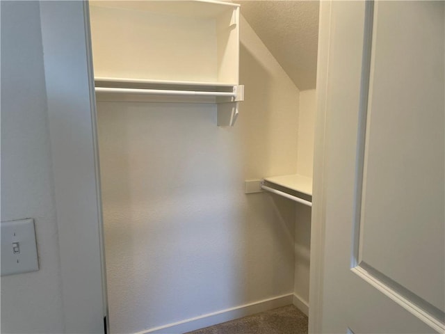 walk in closet featuring carpet floors