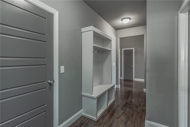 mudroom with dark hardwood / wood-style flooring