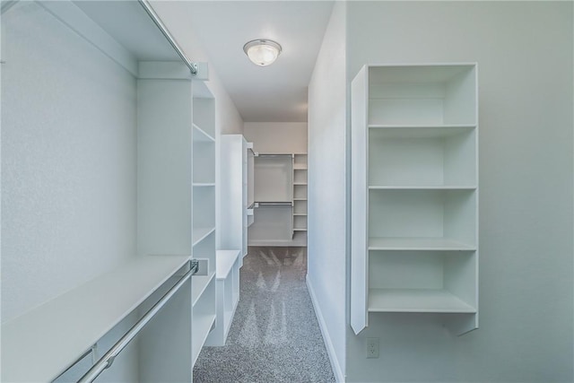 walk in closet with carpet flooring