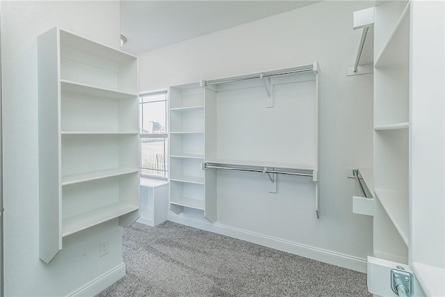 spacious closet with light carpet