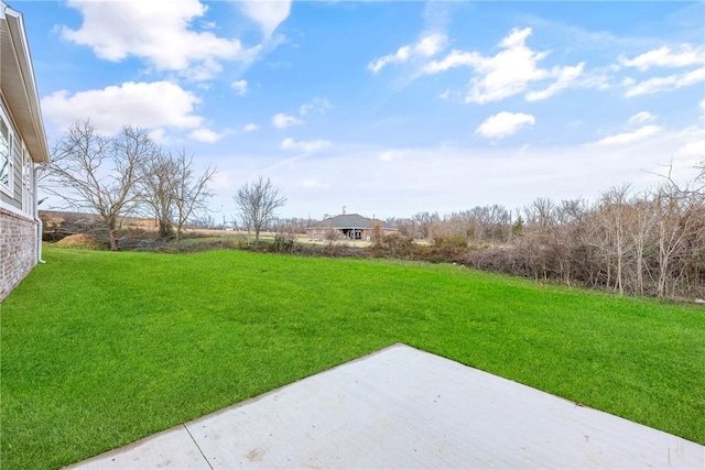 view of yard featuring a patio