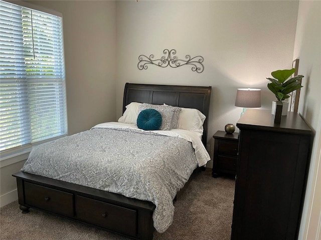 carpeted bedroom with multiple windows