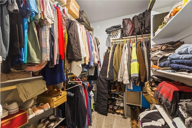 spacious closet featuring carpet flooring