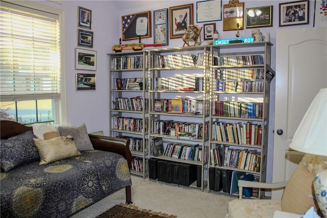 living area with carpet floors