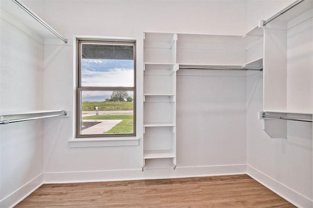 walk in closet featuring light hardwood / wood-style flooring