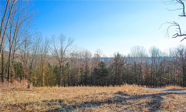 view of landscape