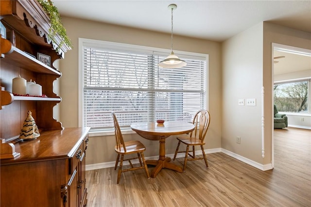 dining area featuring light hardwood / wood-style floors and a wealth of natural light