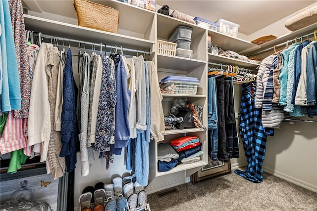 walk in closet with carpet flooring