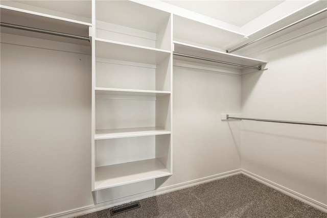 3 Barrhead Ln, Bella Vista, AR 72715 - walk in closet featuring visible vents and carpet