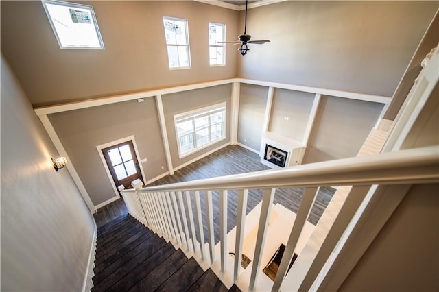 staircase featuring hardwood / wood-style floors, ceiling fan, and ornamental molding