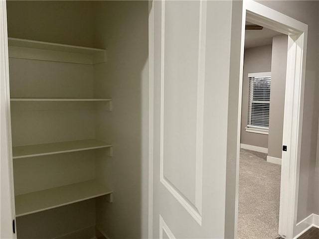 view of closet