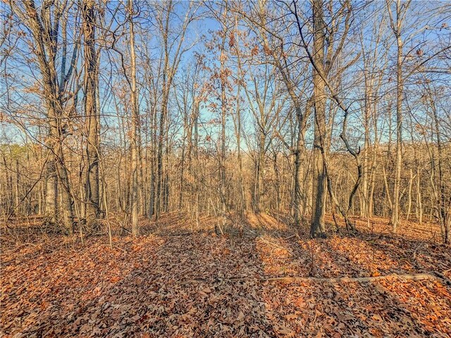 LOT13BLOCK2 Stilton Ln, Bella Vista, AR 72714