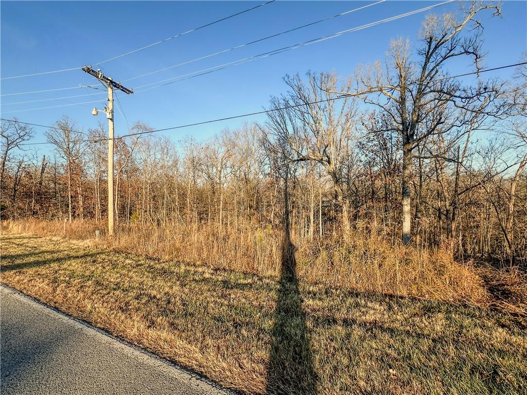 LOT10BLOCK1 Stoneykirk Dr, Bella Vista, AR 72715 - photo 3