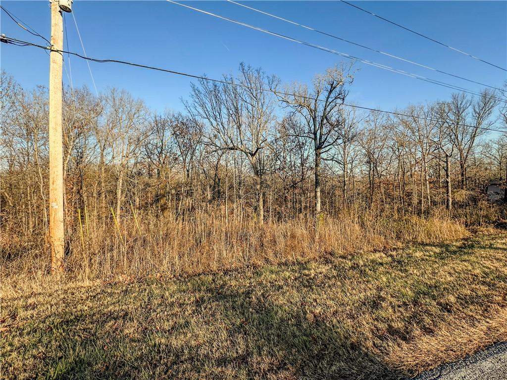 LOT10BLOCK1 Stoneykirk Dr, Bella Vista, AR 72715 - photo 2