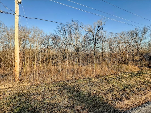 LOT10BLOCK1 Stoneykirk Dr, Bella Vista, AR 72715 - photo 2