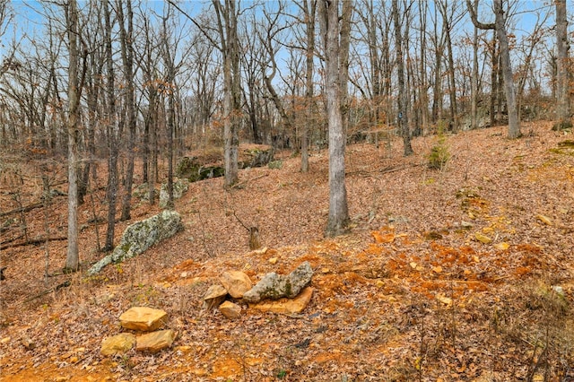 view of local wilderness