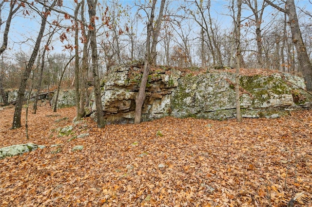 19959 Rheas Community Rd, Lincoln, AR 72744 - view of yard