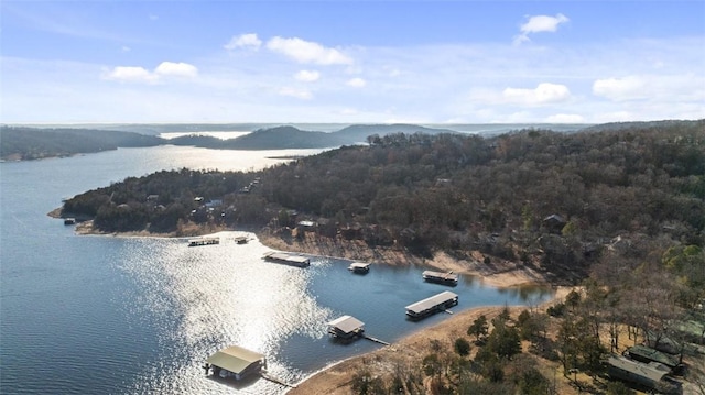 drone / aerial view with a water view and a view of trees