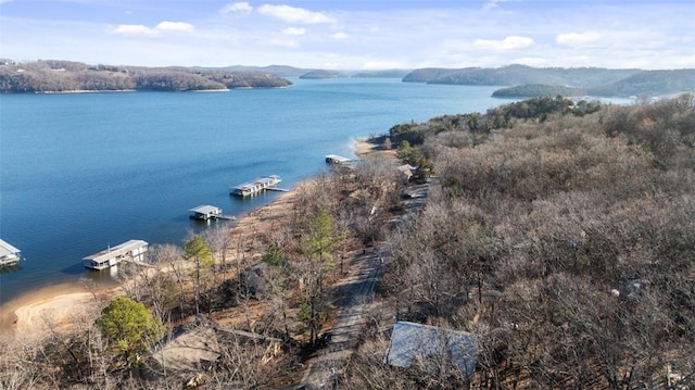 property view of water with a dock