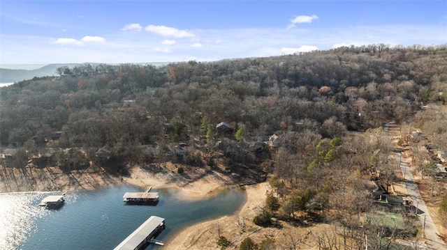 birds eye view of property featuring a water view and a forest view