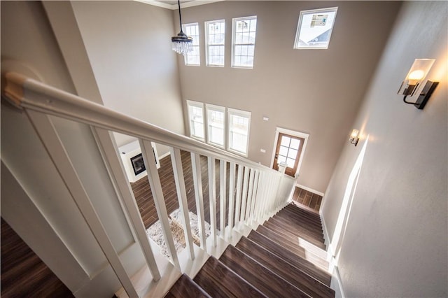 stairway featuring wood-type flooring