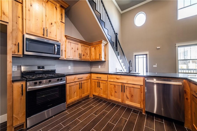 kitchen featuring a towering ceiling, stainless steel appliances, a wealth of natural light, and sink