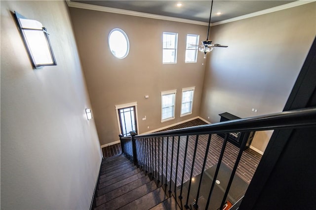 stairs featuring hardwood / wood-style floors, ceiling fan, and crown molding