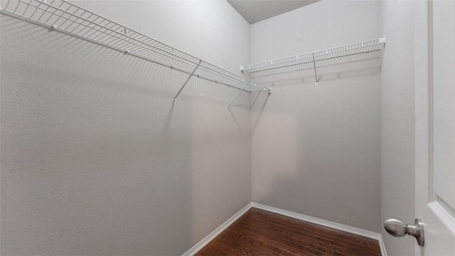 walk in closet featuring dark hardwood / wood-style floors