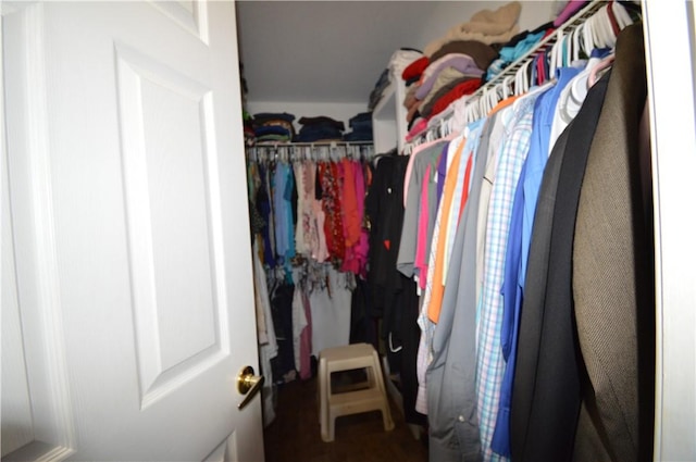 view of walk in closet