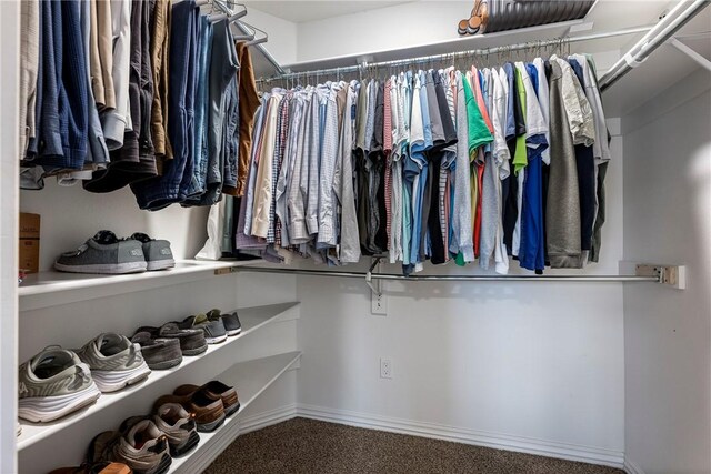 spacious closet featuring carpet flooring