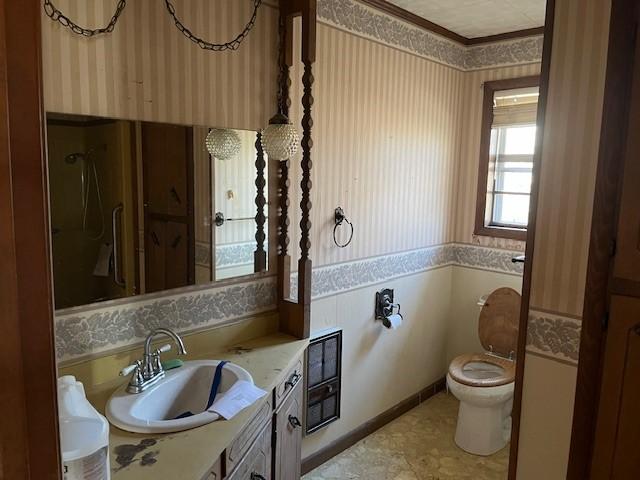 bathroom with vanity and toilet