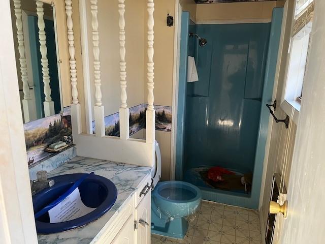 bathroom featuring a shower, vanity, and toilet