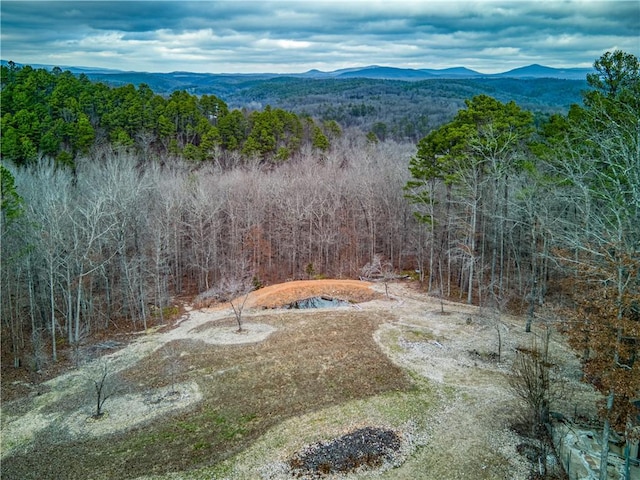 birds eye view of property with a mountain view