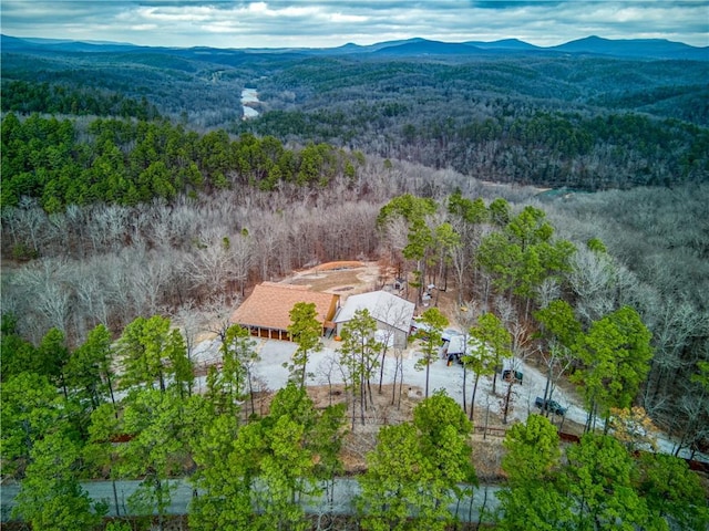 drone / aerial view featuring a mountain view