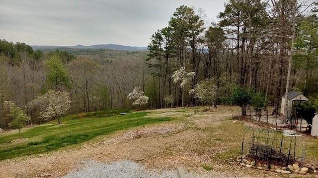 view of yard featuring a mountain view