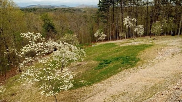3630 NC-3850, Jasper, AR 72641 - photo 38