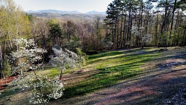 view of yard with a mountain view