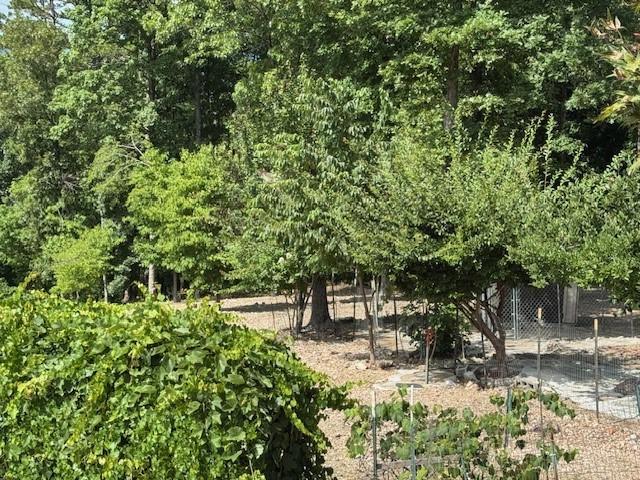 3630 NC-3850, Jasper, AR 72641 - photo 40