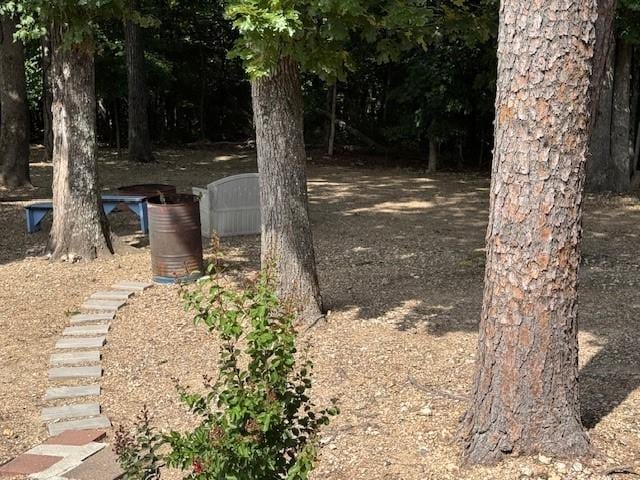 3630 NC-3850, Jasper, AR 72641 - photo 48