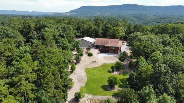 3630 NC-3850, Jasper, AR 72641 - photo 55