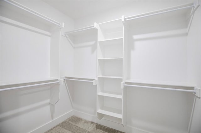 spacious closet with carpet flooring