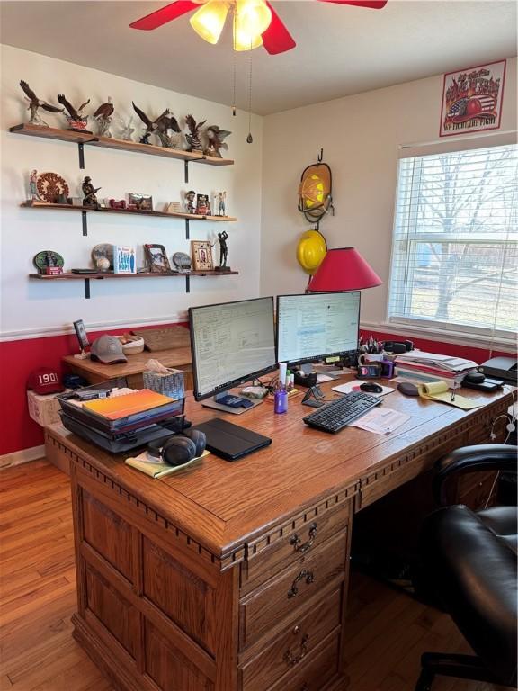 office featuring ceiling fan and light wood finished floors