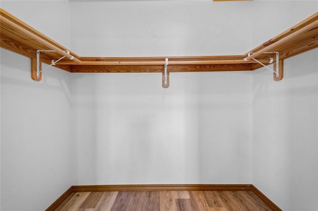 spacious closet featuring wood-type flooring