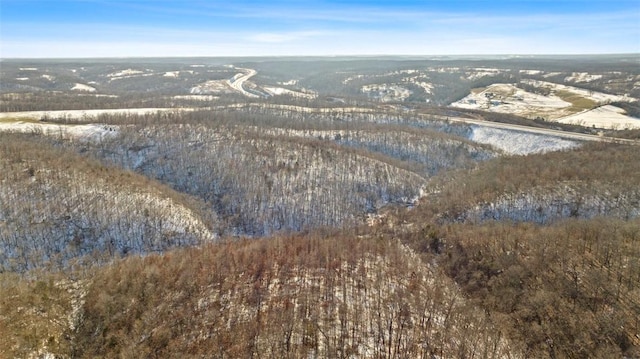 71.9ACRES/- Sugar Valley Cir, Pineville, MO 64856 - photo 18
